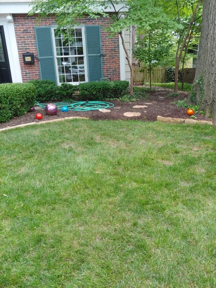 Expert lawn mowing service experts serving Lenexa, KS - Modern Marvels