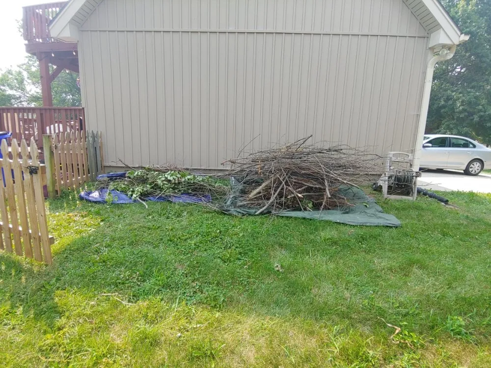 Professional lawn care service in Lenexa, KS by Modern Marvels