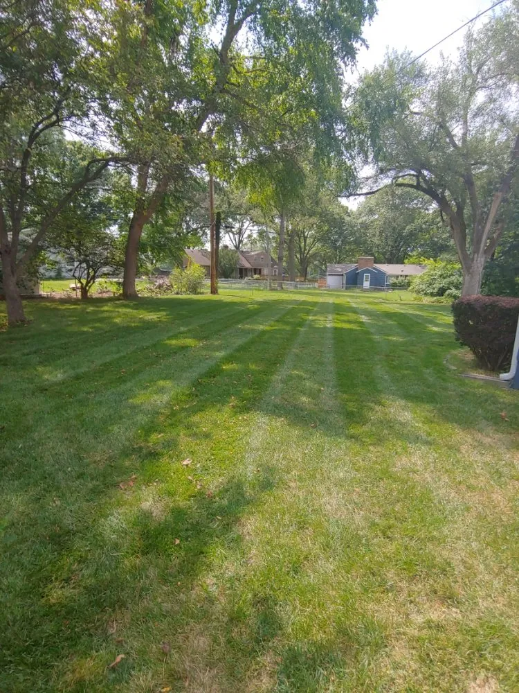 Local yard cleanup service for homes across Lenexa, KS - Modern Marvels