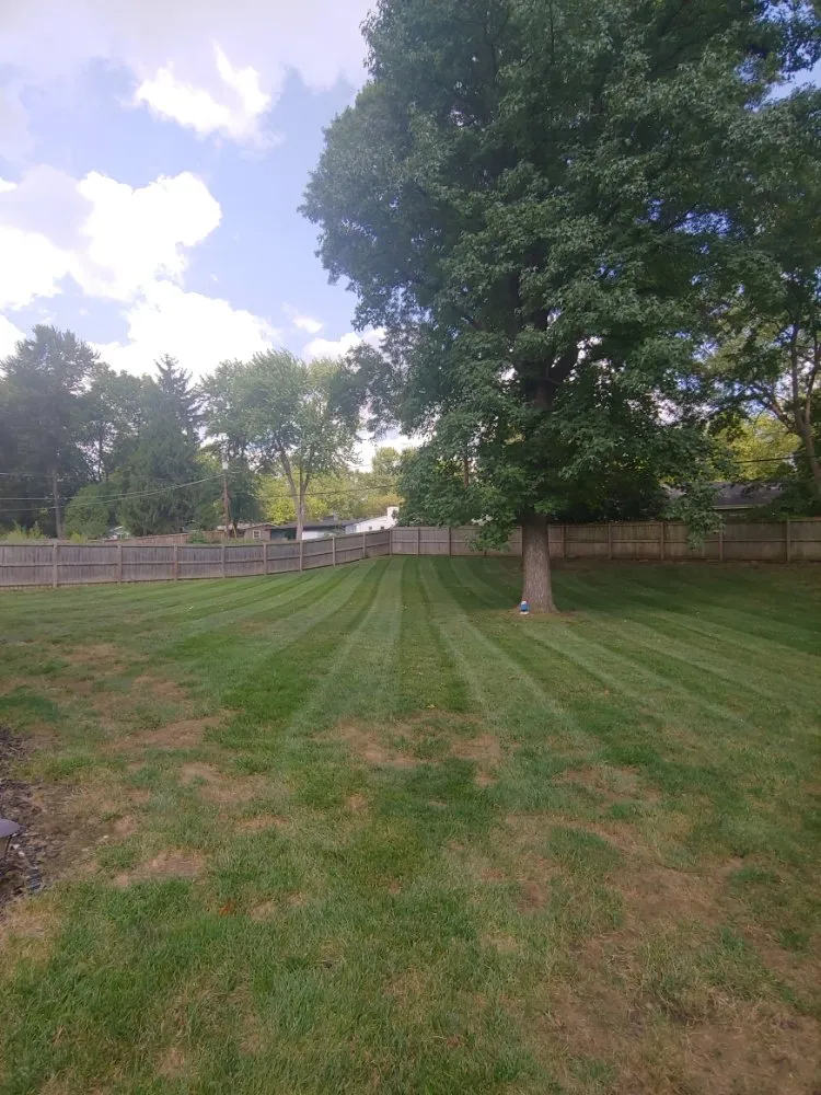 Reliable residential landscaping for homes across Lenexa, KS - Modern Marvels