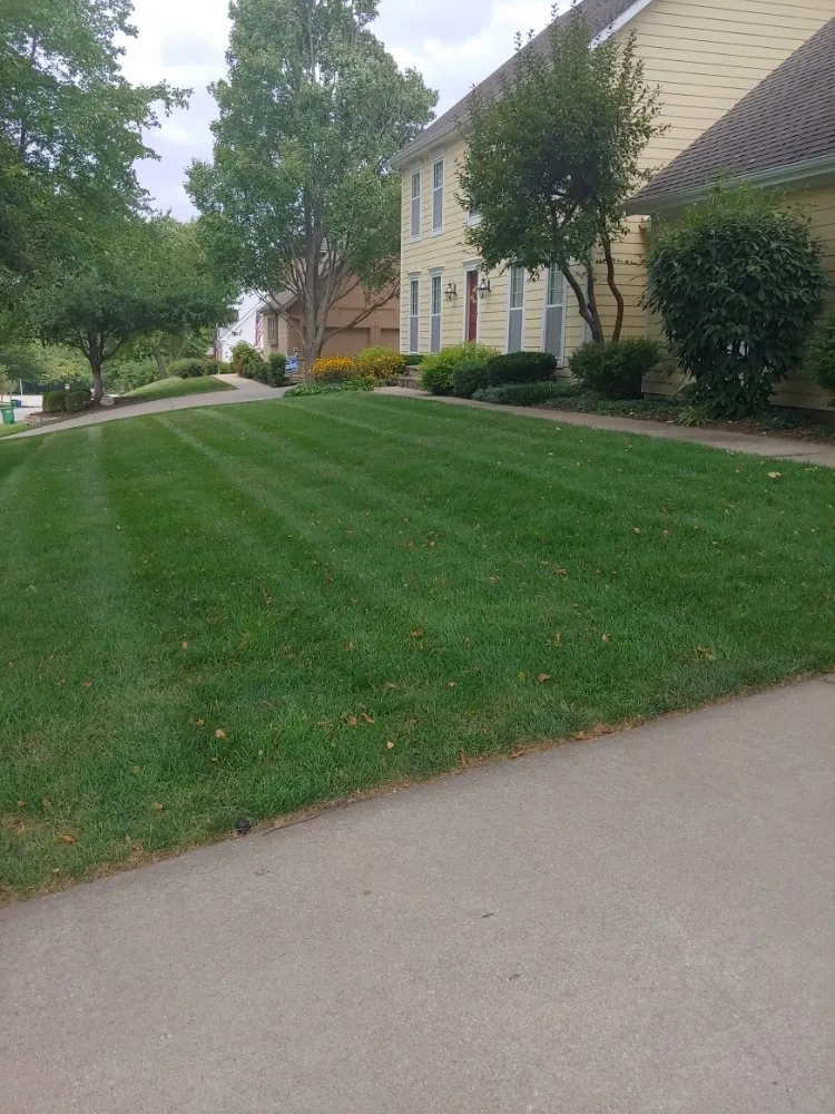 Trusted yard maintenance experts serving Lenexa, KS - Modern Marvels