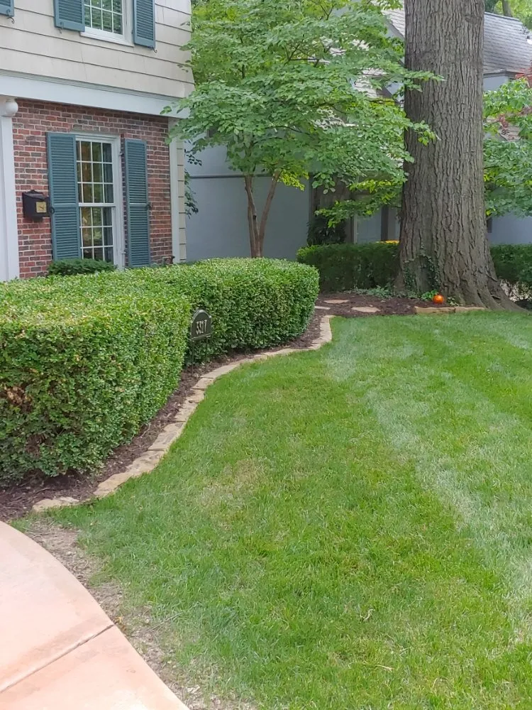 Professional garden landscaping experts serving Lenexa, KS - Modern Marvels