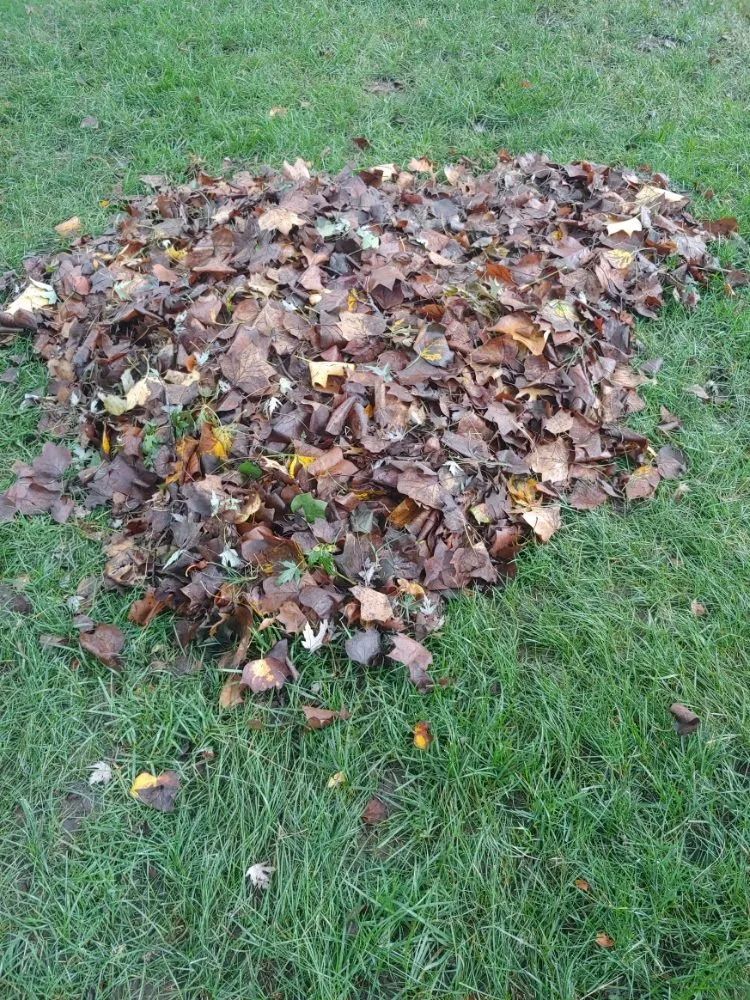 Reliable yard maintenance in Lenexa, KS by Modern Marvels