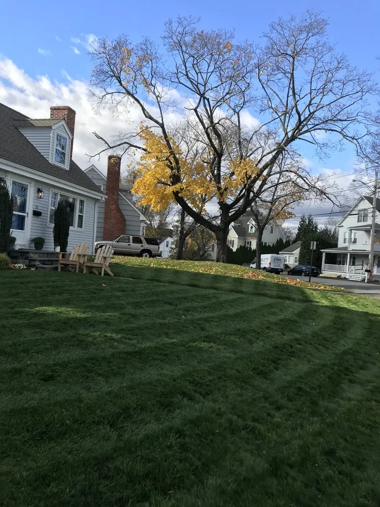 Local yard cleanup service near you in Norwalk, CT by Modern Masonry