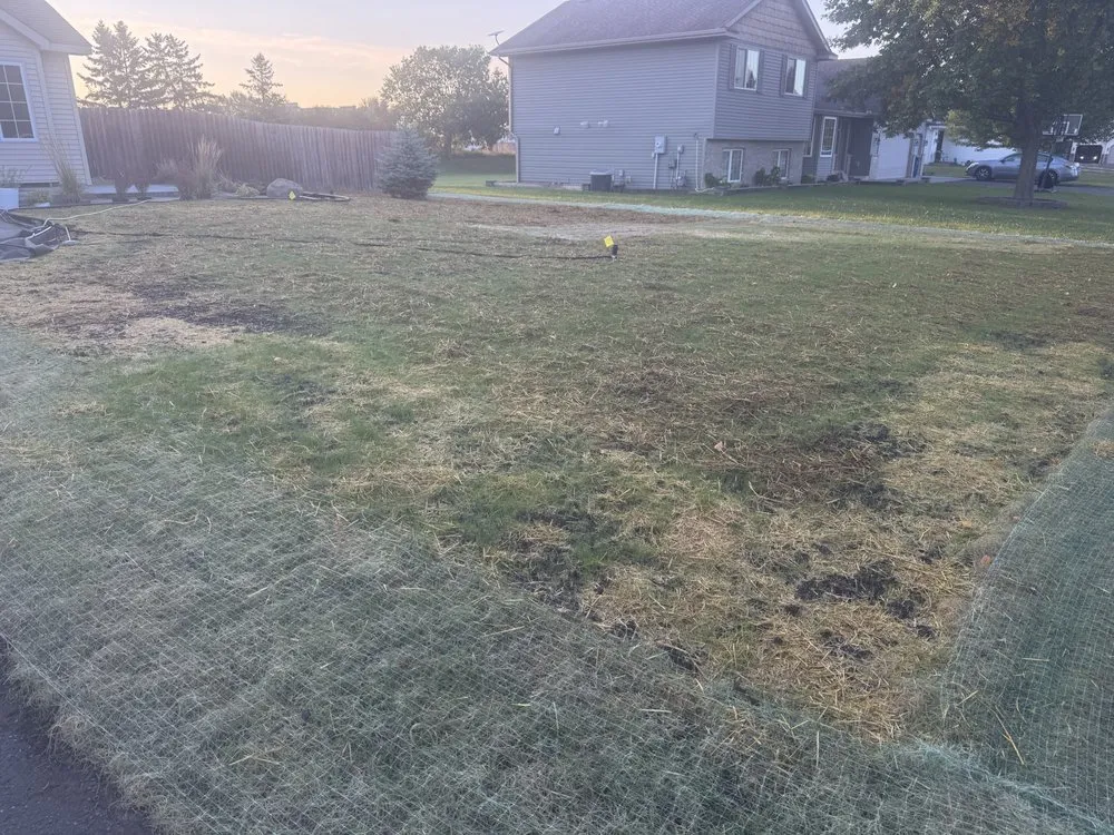 Affordable residential landscaping in Albertville, MN by Modern Mix