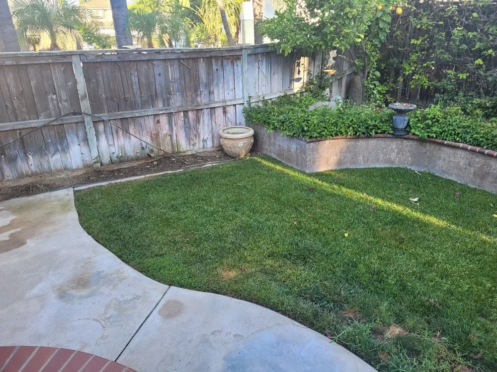 Affordable landscape design experts serving Rancho Cucamonga, CA - Modern Paving