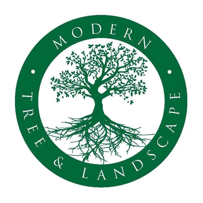 Reliable residential landscaping with custom design across Birmingham, MI - Modern Tree & Landscape