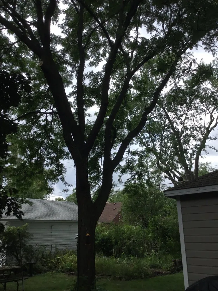 Reliable outdoor landscaping for beautiful yards across Birmingham, MI - Modern Tree & Landscape