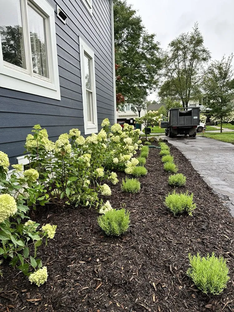 Expert lawn care service in Birmingham, MI by Modern Tree & Landscape