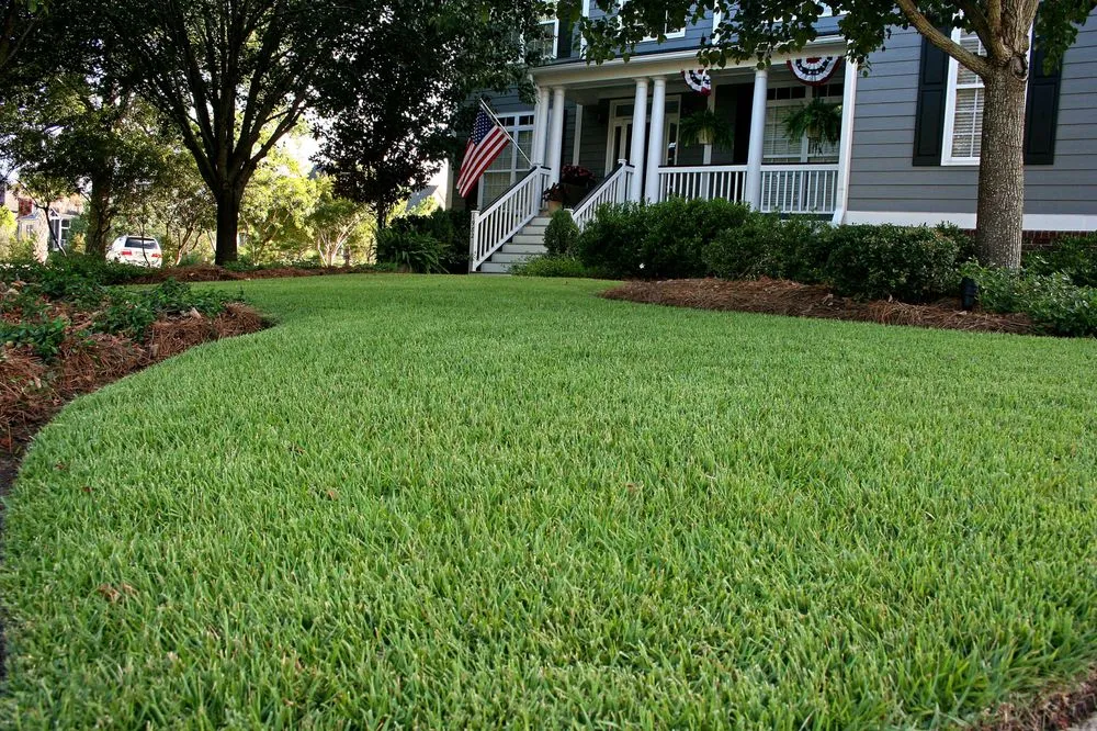 Top-rated lawn mowing service experts serving Columbia, SC - Modern Turf - Columbia