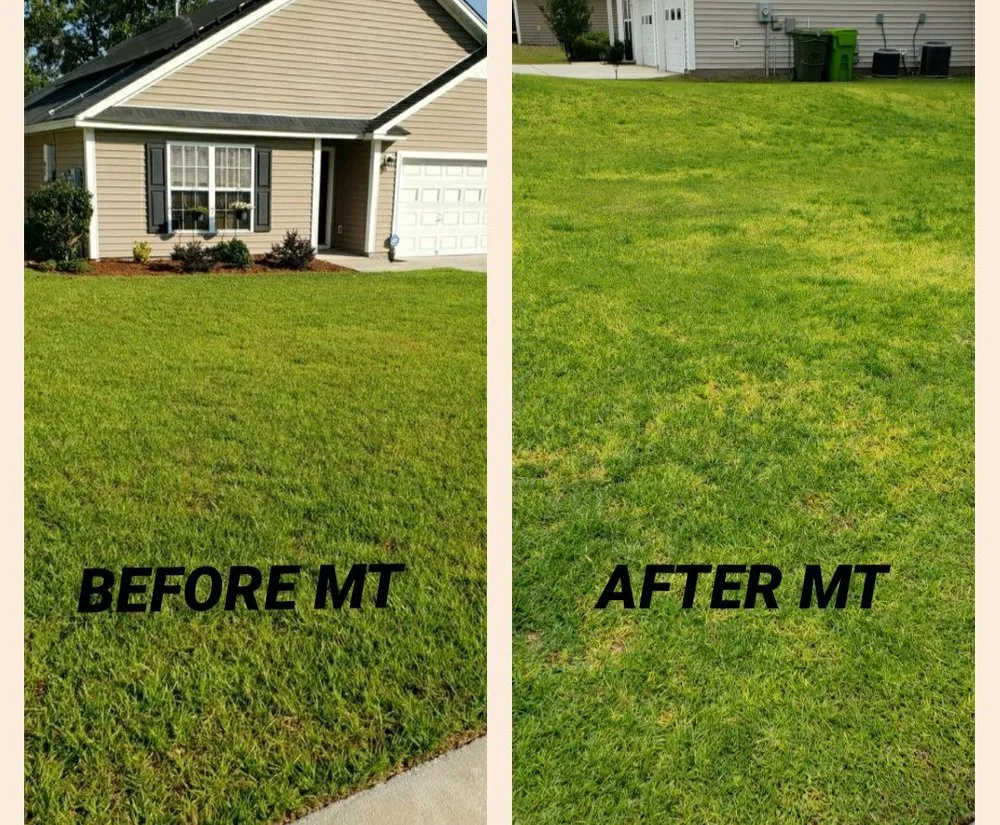 Top-rated yard maintenance for residential properties across Columbia, SC - Modern Turf - Columbia