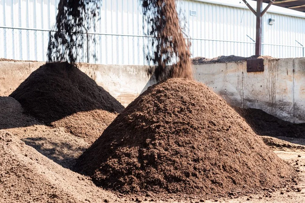 Local landscape installation in Columbia, SC by Modern Turf - Columbia