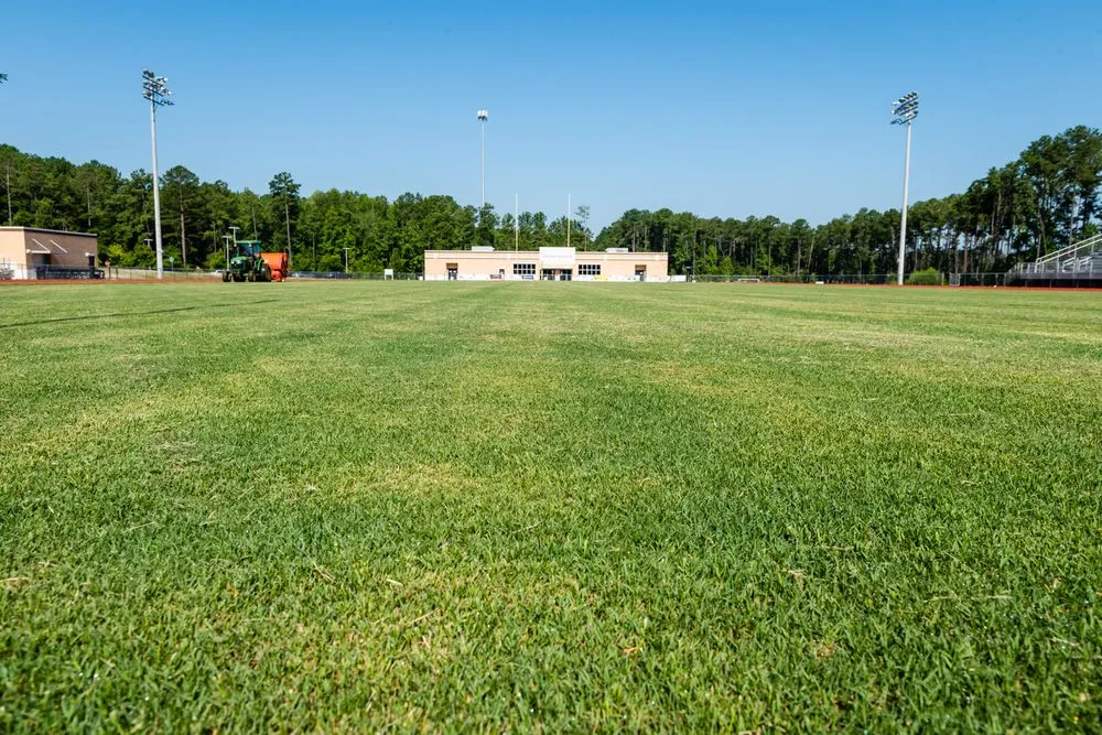 Local landscaping services experts serving Irmo, SC - Modern Turf - Irmo