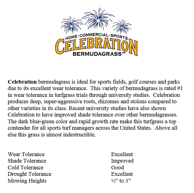 Trusted yard maintenance experts serving Rembert, SC - Modern Turf - Rembert