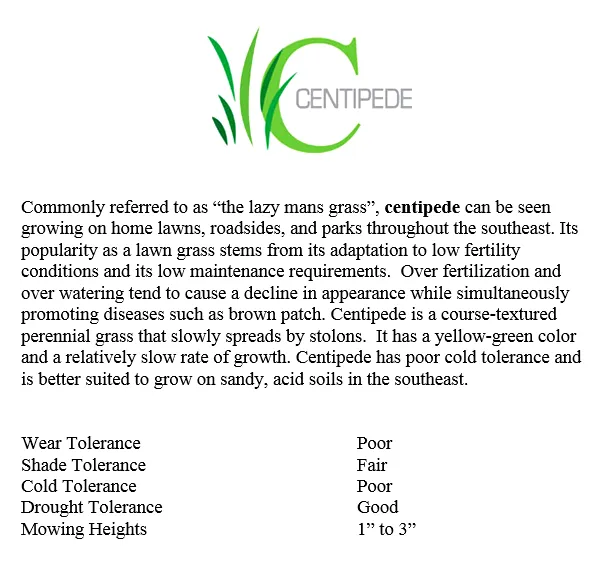Trusted landscape installation with custom design across Rembert, SC - Modern Turf - Rembert