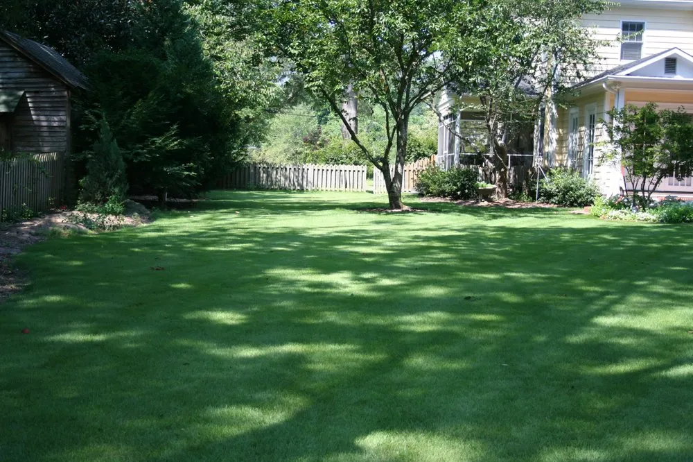 Reliable lawn mowing service near you across Rembert, SC - Modern Turf - Rembert