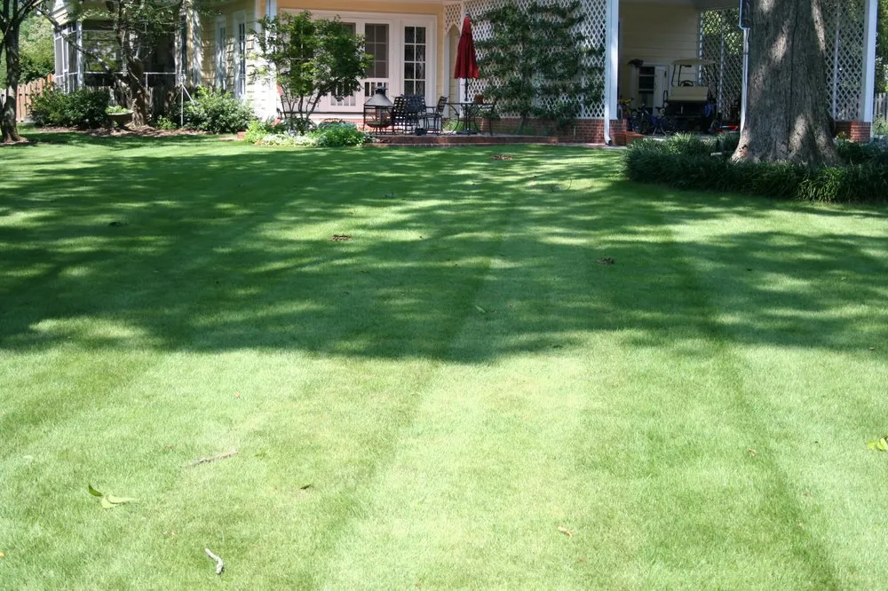 Custom outdoor landscaping experts serving Rembert, SC - Modern Turf - Rembert