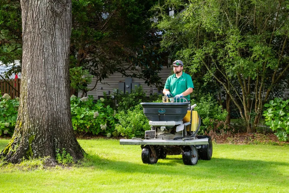 Top-rated lawn care service in Rembert, SC - Modern Turf - Rembert