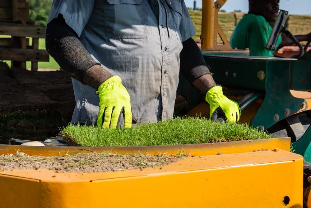 Local residential landscaping in Rembert, SC - Modern Turf - Rembert