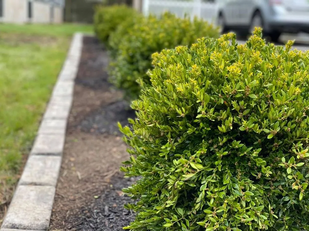 Professional outdoor landscaping for homes across Piscataway, NJ - Modern Upgrade