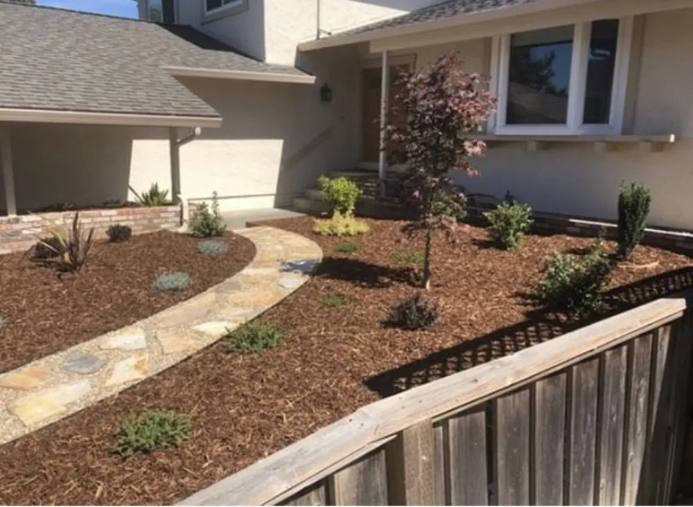 Expert yard cleanup service in American Canyon, CA by Modern View Landscape Logistics