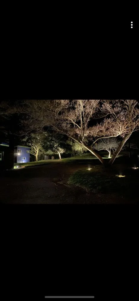 Reliable yard maintenance experts serving American Canyon, CA - Modern View Landscape Logistics