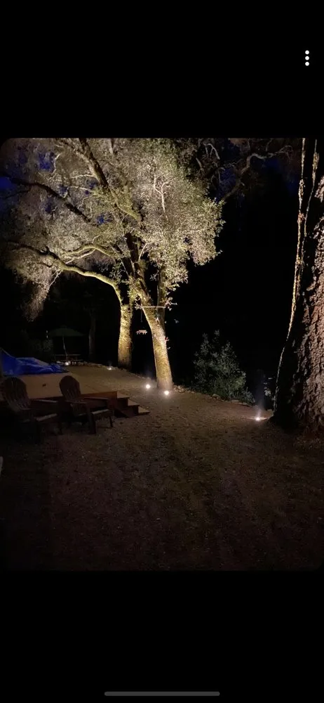 Local yard maintenance for year-round maintenance across American Canyon, CA - Modern View Landscape Logistics