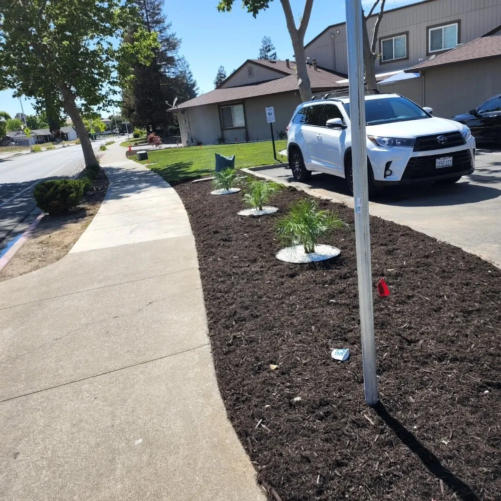 Reliable lawn mowing service for homes across Oakley, CA - Modernscapes Innovations