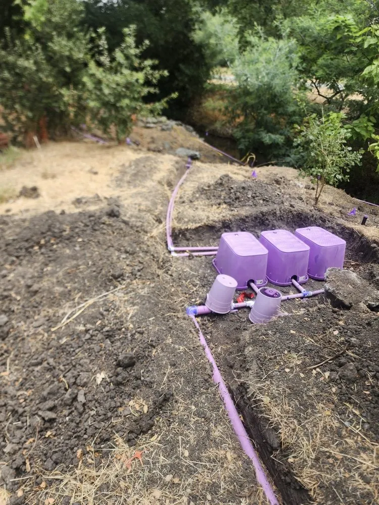 Reliable landscaping services for residential properties across Oakley, CA - Modernscapes Innovations