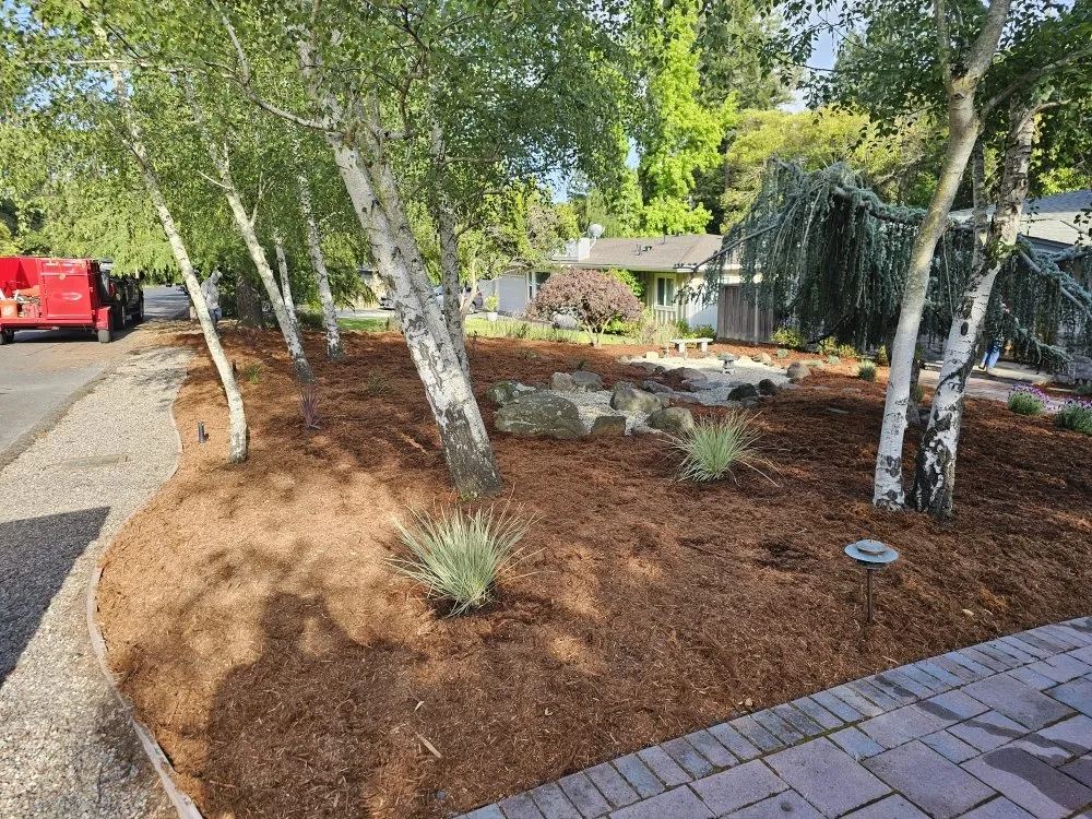 Affordable landscape installation experts serving Oakley, CA - Modernscapes Innovations