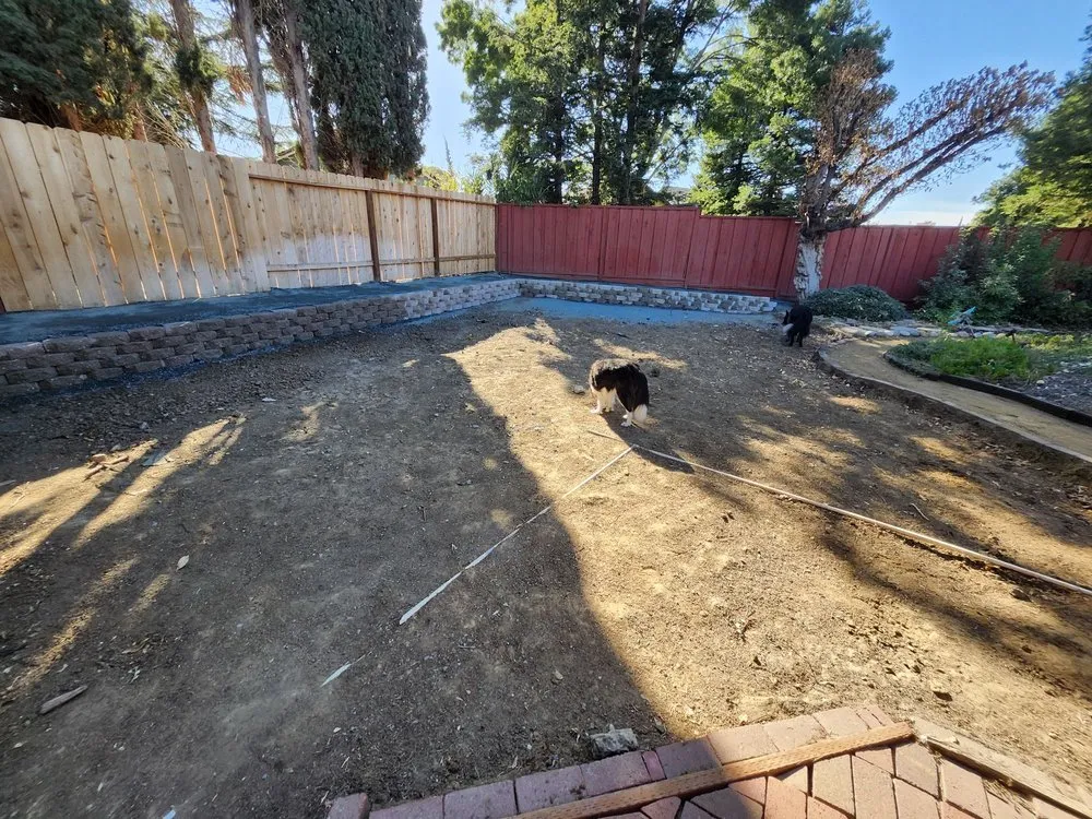 Expert yard maintenance for residential properties in Oakley, CA by Modernscapes Innovations