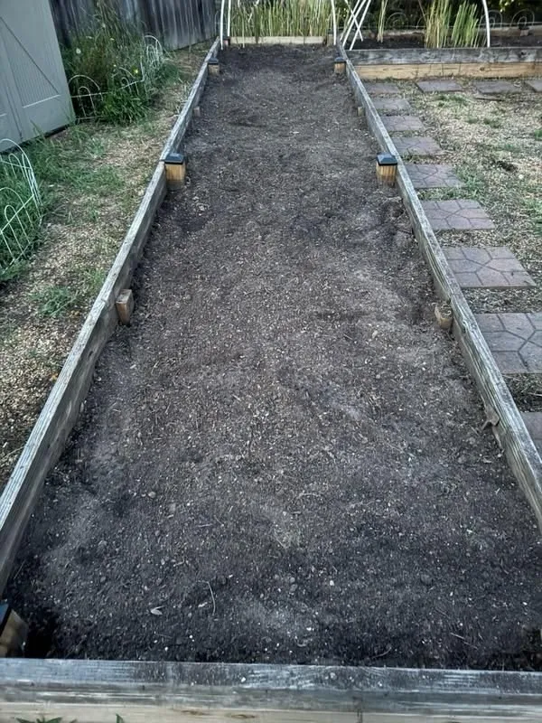 Reliable landscaping services in Clinton, MS by Modest Mowing