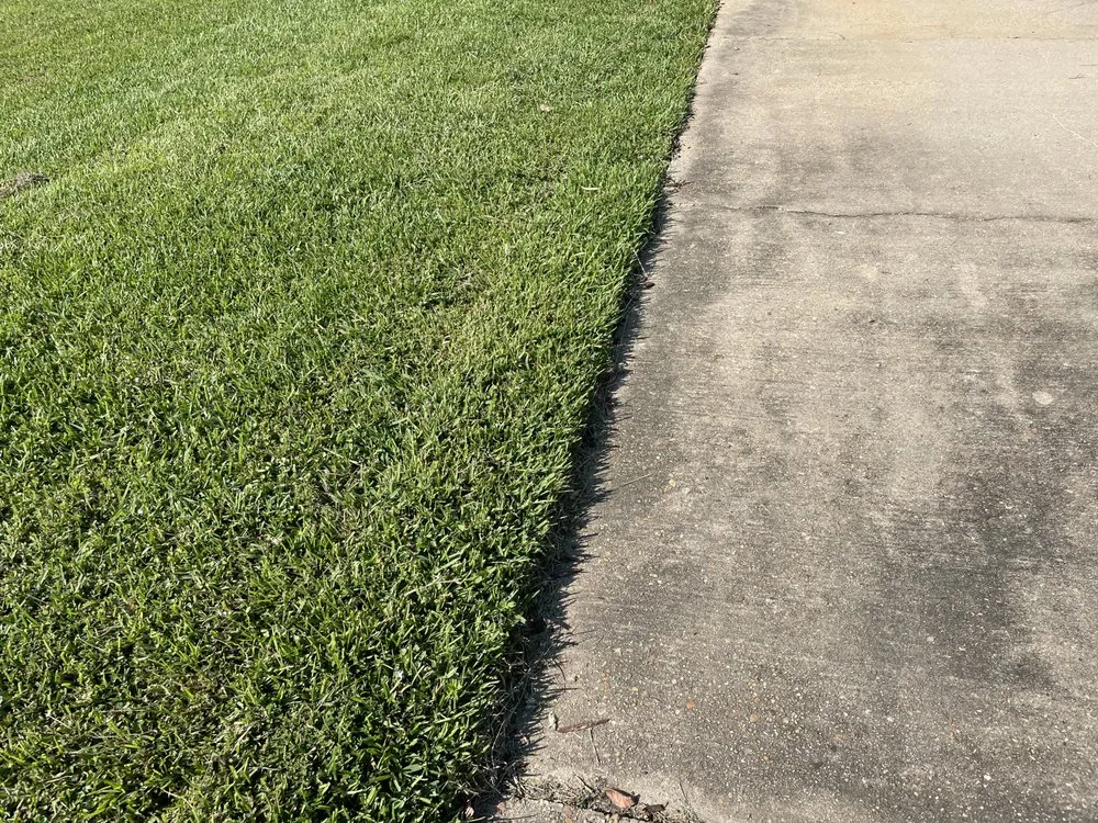 Top-rated outdoor landscaping experts serving Clinton, MS - Modest Mowing