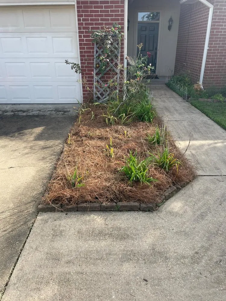 Professional residential landscaping in Clinton, MS by Modest Mowing