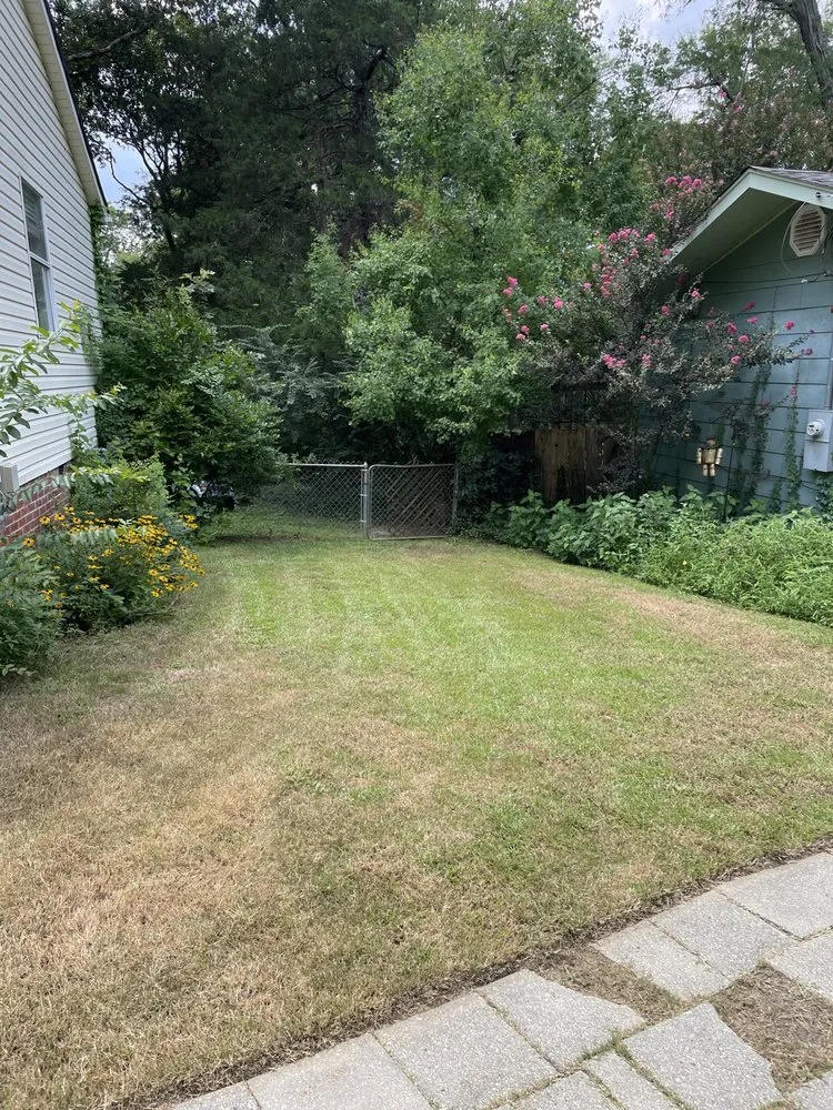 Expert lawn care service with custom design across Clinton, MS - Modest Mowing