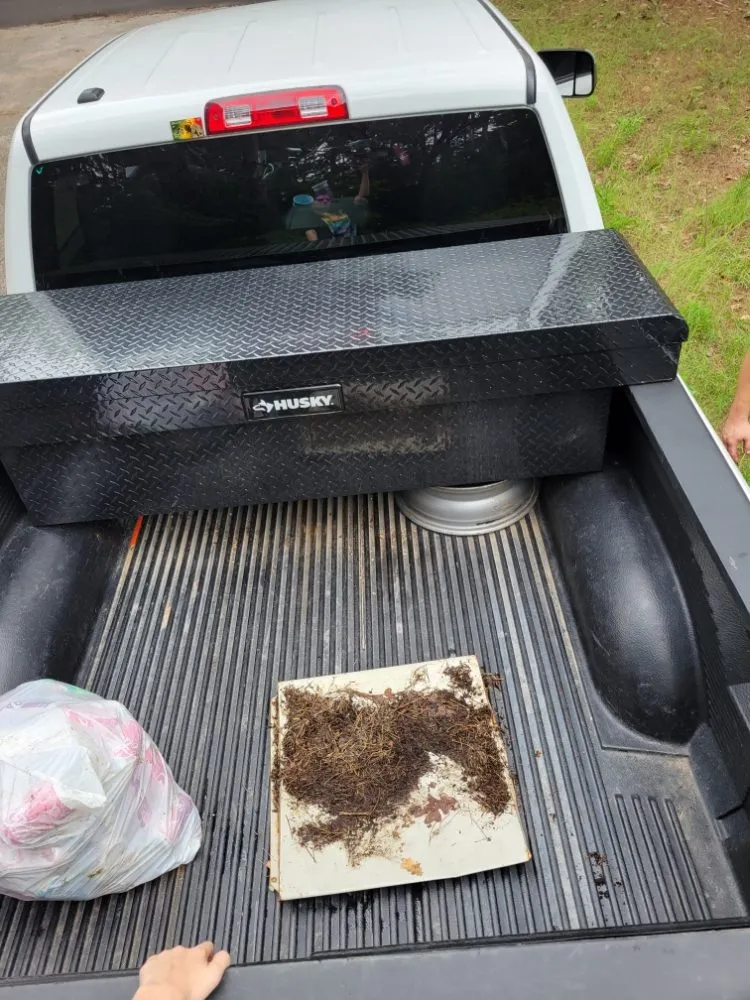 Affordable outdoor landscaping experts serving Greenville, TX - Modesti Barrentine Services