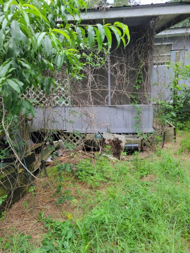 Custom yard maintenance for year-round maintenance in Greenville, TX by Modesti Barrentine Services