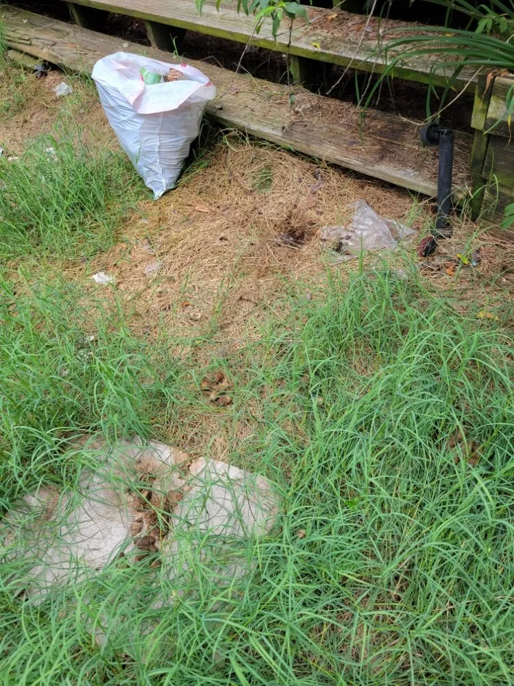 Local landscaping services with custom design in Greenville, TX by Modesti Barrentine Services