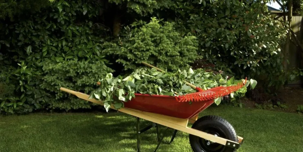 Professional lawn mowing service in Modesto, CA - Modesto Lawn Mow