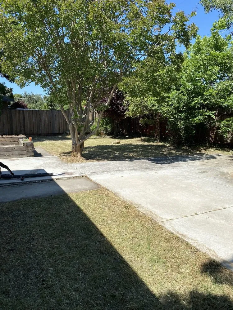 Top-rated residential landscaping in Modesto, CA by Modesto Lawn Mow