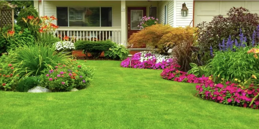 Local lawn care service in Modesto, CA by Modesto Lawn Mow