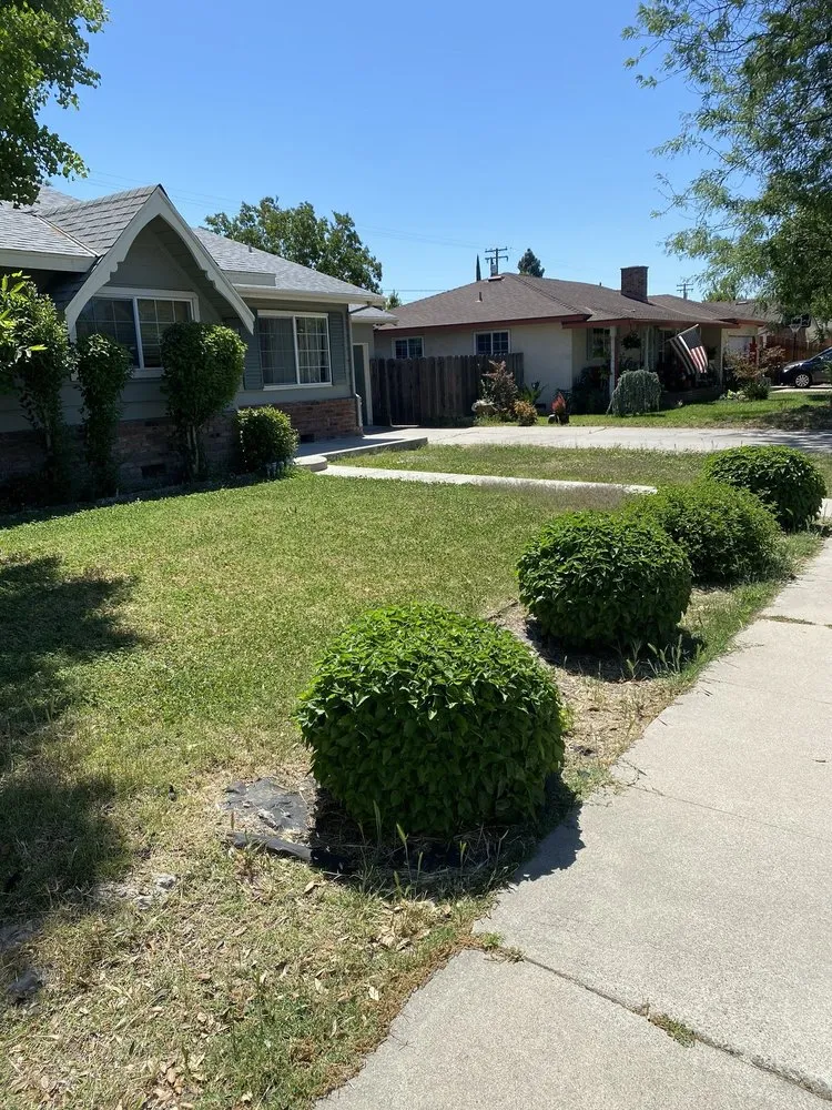 Trusted landscape installation for year-round maintenance across Modesto, CA - Modesto Lawn Mow