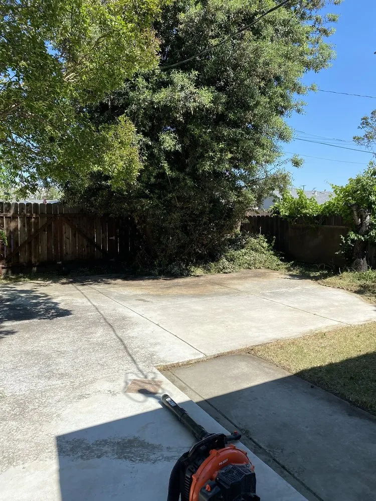 Expert yard maintenance for year-round maintenance across Modesto, CA - Modesto Lawn Mow