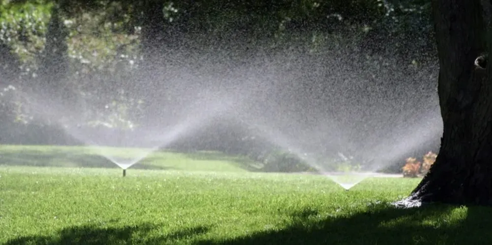 Trusted landscape design in Modesto, CA by Modesto Lawn Mow