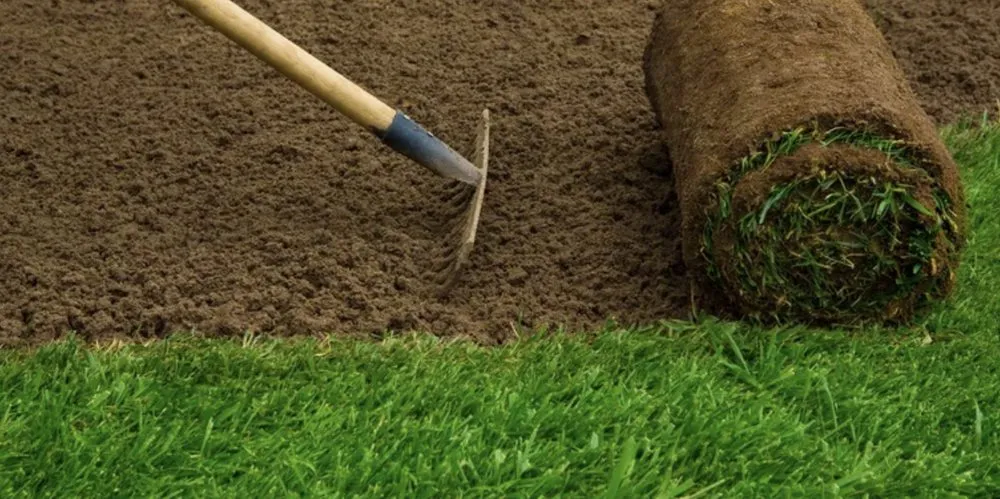 Affordable lawn care service in Modesto, CA - Modesto Lawn Mow