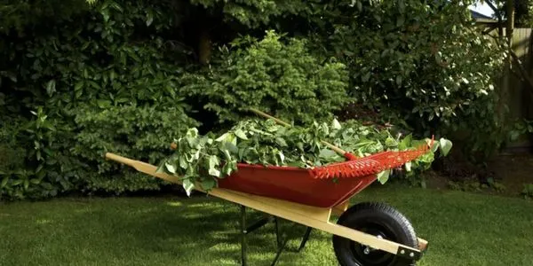 Modesto Lawn Mow Logo