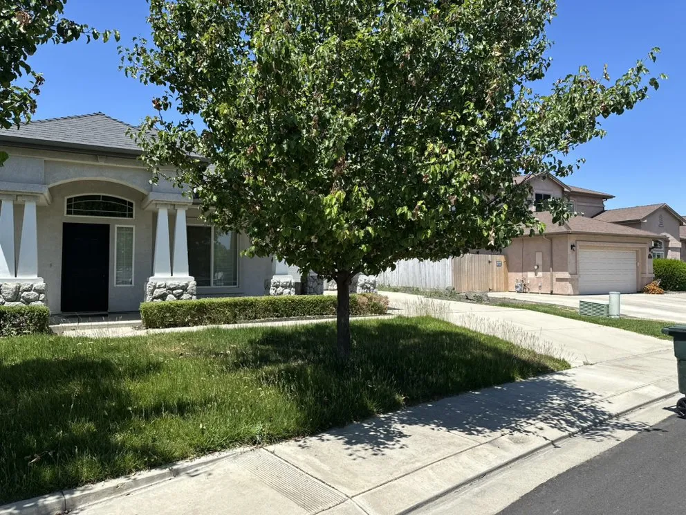 Reliable yard cleanup service in Lathrop, CA - Modesto Stone landscape