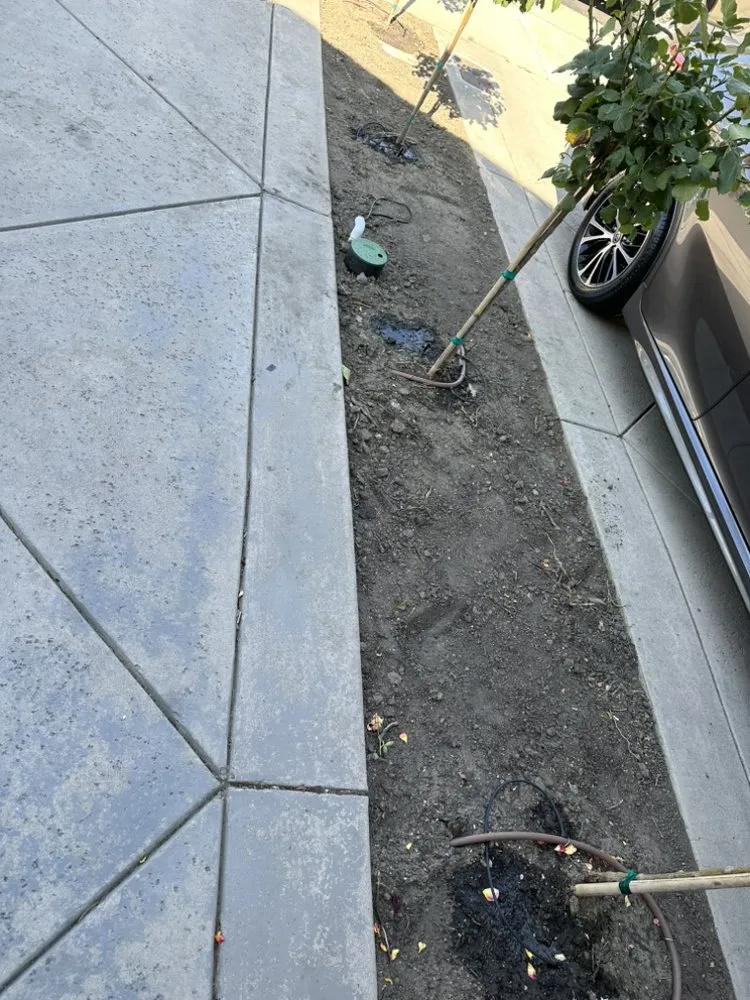 Reliable yard cleanup service for beautiful yards across Lathrop, CA - Modesto Stone landscape