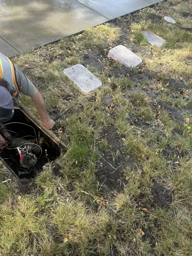 Expert residential landscaping in Lathrop, CA - Modesto Stone landscape