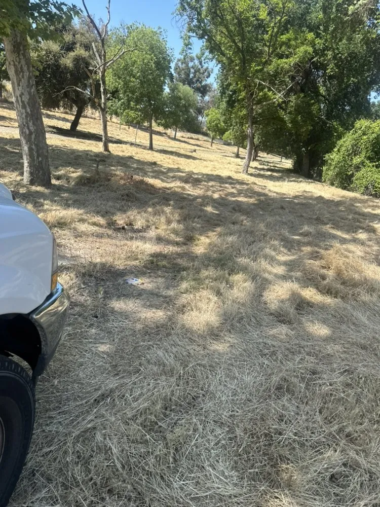 Reliable outdoor landscaping in Lathrop, CA by Modesto Stone landscape